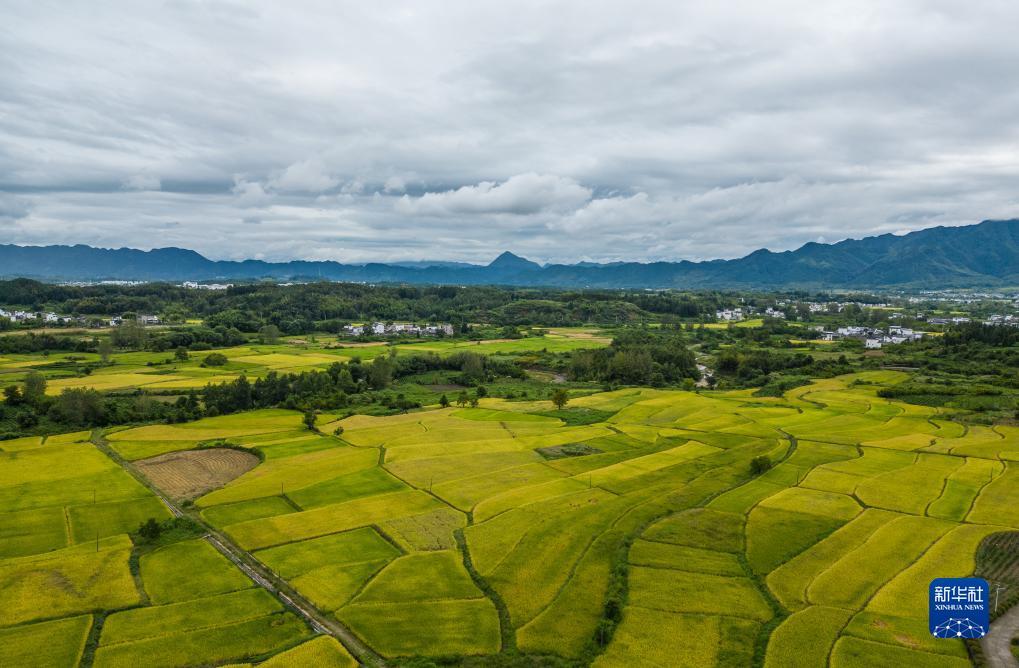大富豪电玩城